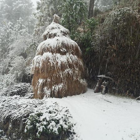 Aagaman Woods Appartement Shimla Buitenkant foto